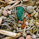 Alaska Maritime National Wildlife Refuge, Aleutian Islands, Alaska: Marine debris, a common site on many islands.